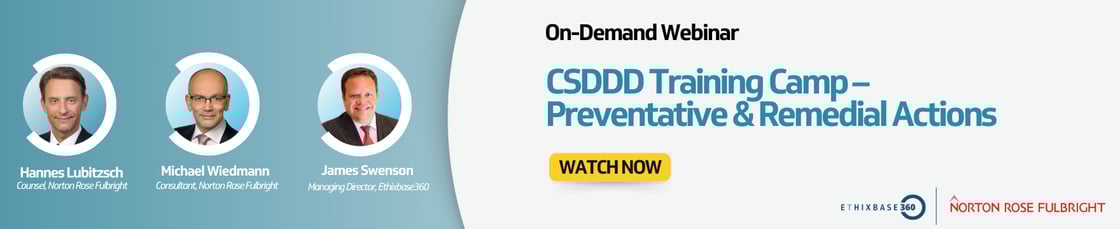 CSDDD Training-Camp - Preventative Remedial Actions